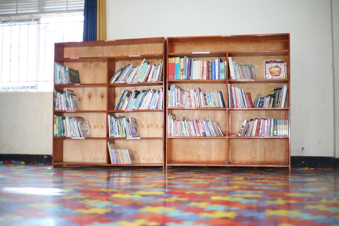 Bookshelves in a library